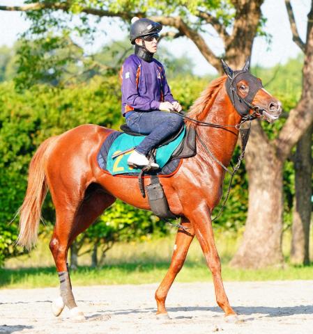 【福島新馬戦】ロスパレドネス　全兄ジオグリフに続け!　陣営も期待「お兄ちゃんよりも筋肉質」