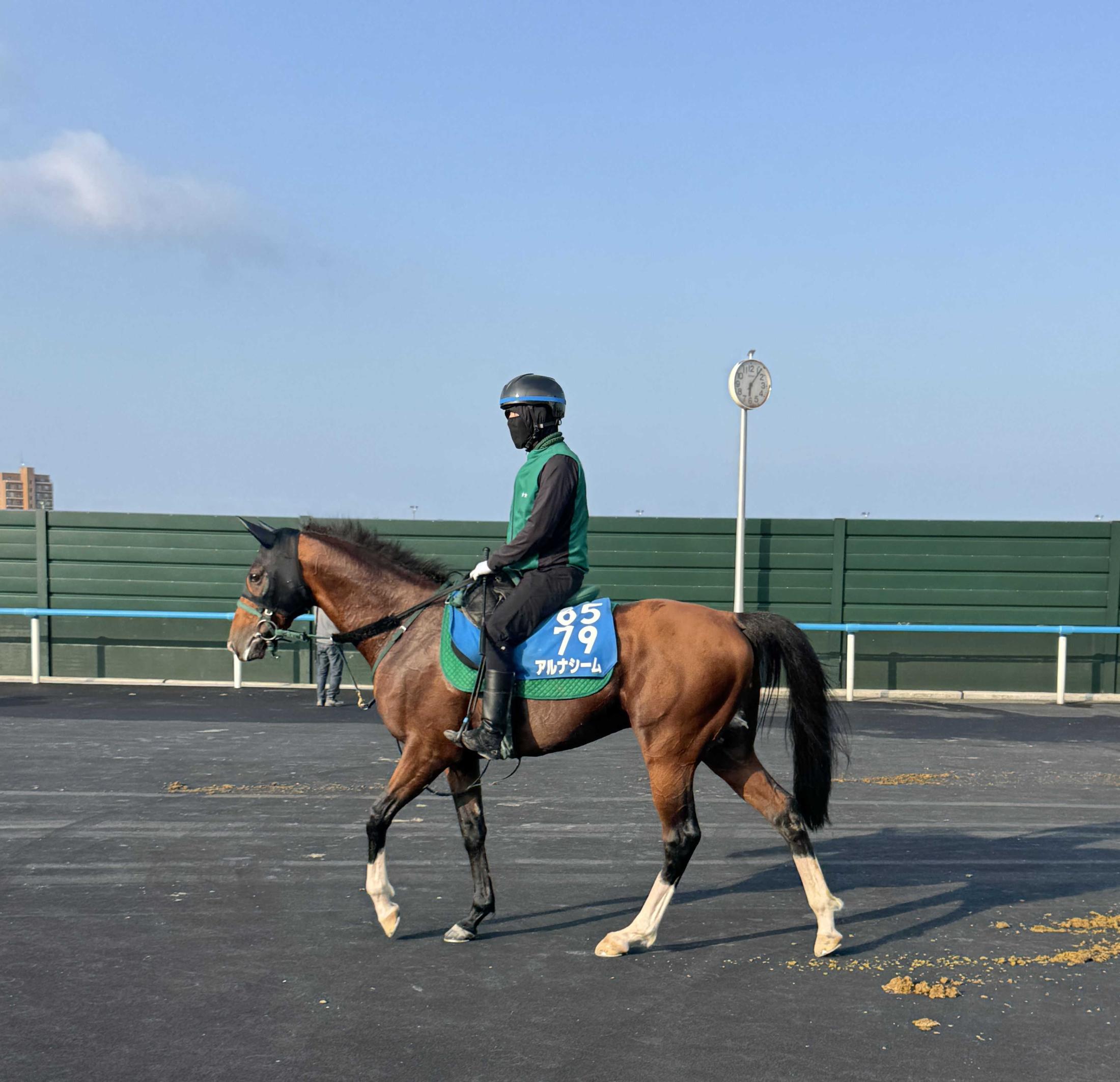 【函館記念】アルナシーム　能力上位証明なるか　トップハンデ５９キロはねのけ重賞３勝目へ