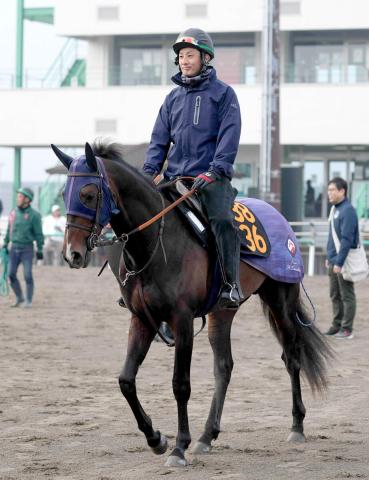 【ラジオNIKKEI賞】レーヴブリリアントはスプリングS7着からの巻き返しへ　田中博調教師「状態は一段上がっている」