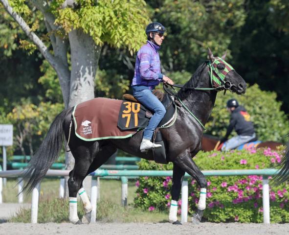 【ラジオNIKKEI賞】インパクトシーは距離短縮が好材料　陣営「叔父のザダルに感触が似てきた」