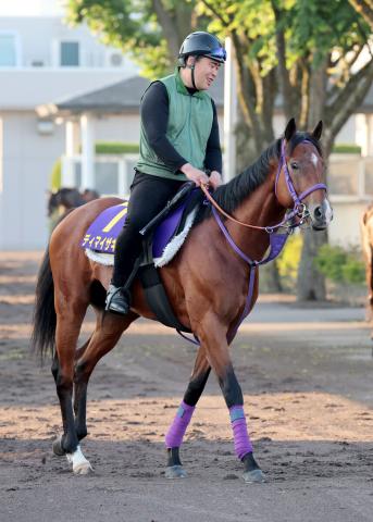 【函館記念】ディマイザキッドは状態アップで重賞制覇へ　陣営「叩いた方がいい馬」