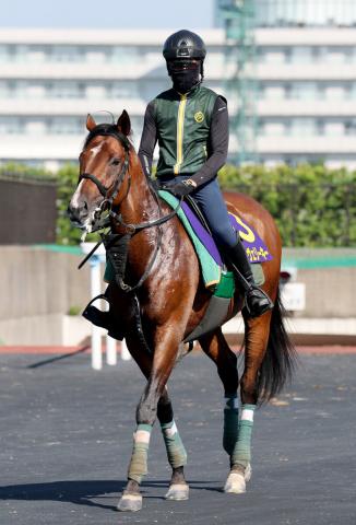 【函館記念】マコトヴェリーキーが今度こそ重賞初制覇へ　陣営「直線が平坦なコースは京都でも実績がある」