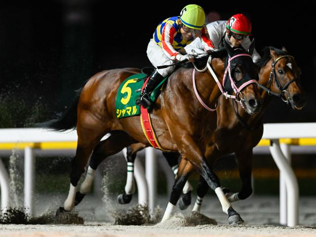【浦和・さきたま杯注目馬】上半期のダート短距離王決定戦に優駿12頭集結