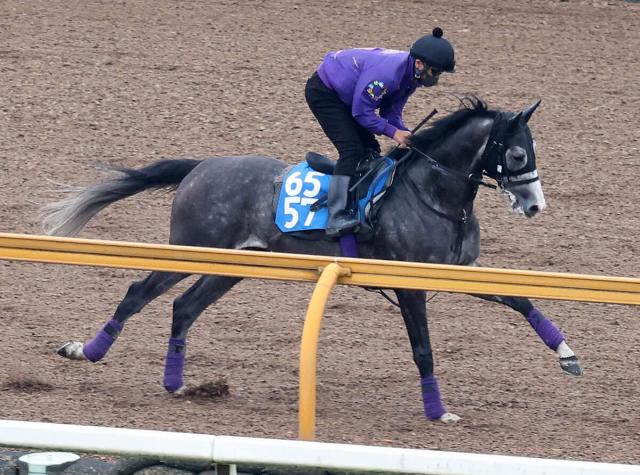 【古馬・注目馬動向】目黒記念で重賞初Vのアドマイヤテラ　秋は京都大賞典からの始動を予定