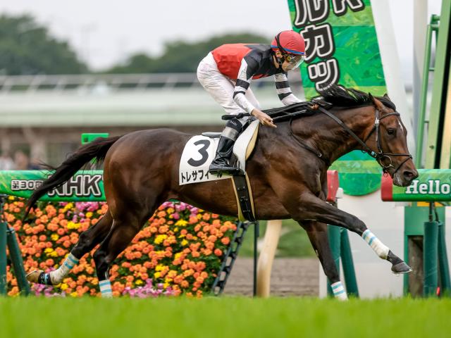 【ラジオNIKKEI賞予想オッズ】トレサフィールが予想1番人気