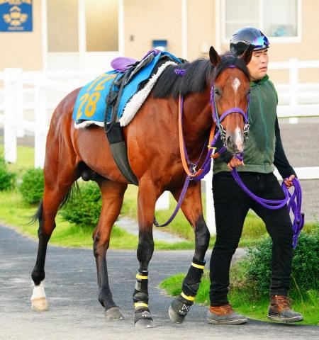 【函館記念】ディマイザキッド　初の函館で反撃!右回りは安定感抜群