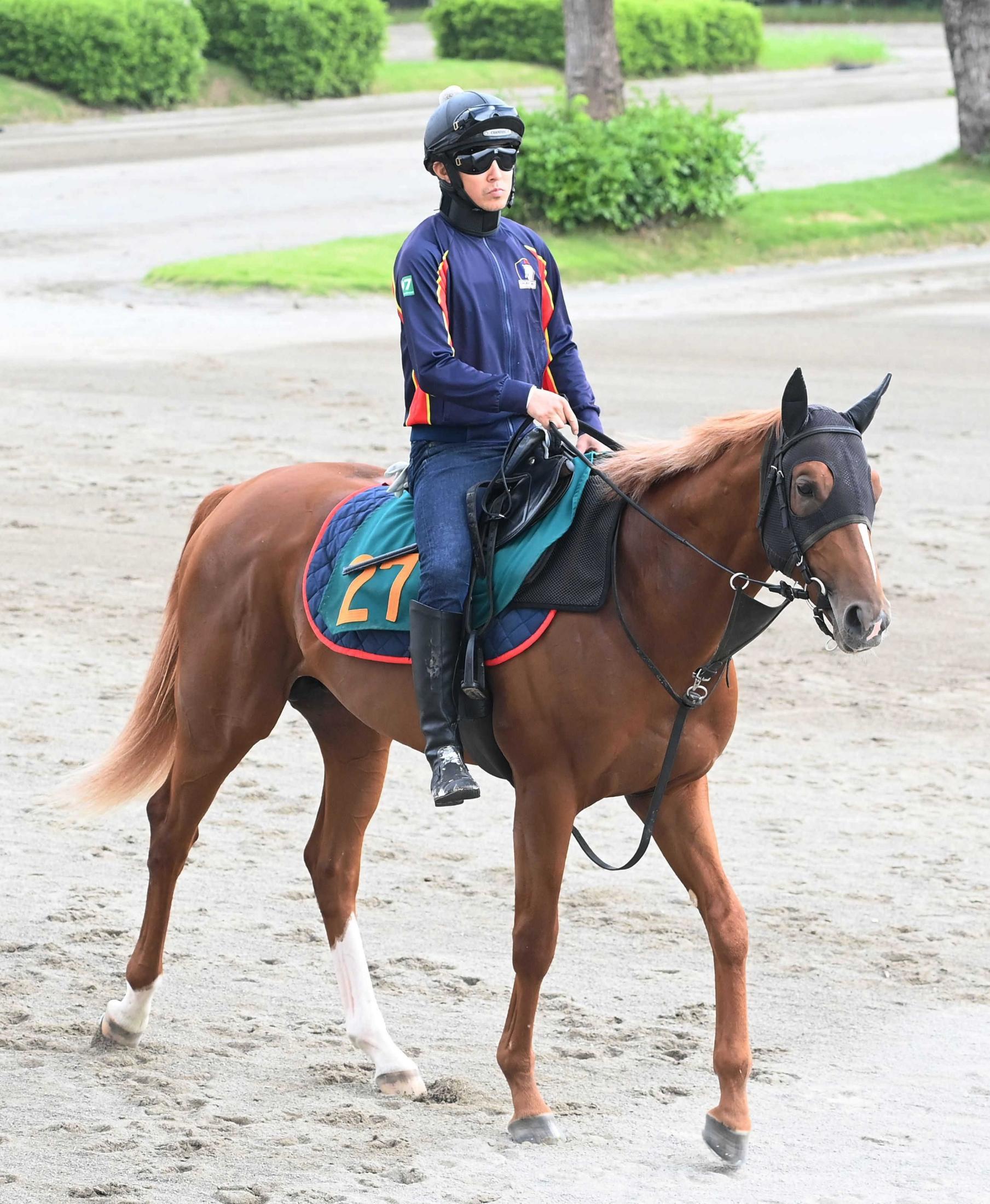 【新馬戦】ロスパレドネス　みちのくからクラシックへ　兄は２２年皐月賞馬ジオグリフ　福島騎乗１０年ぶりのルメールで初陣