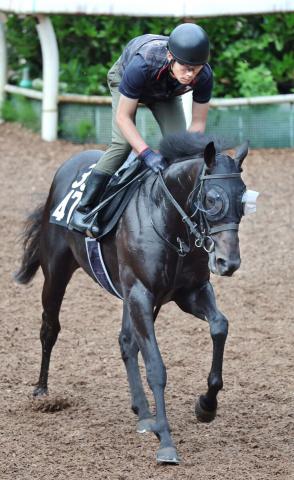 【ラジオNIKKEI賞】ダービー馬クロワデュノールに続く!　斉藤崇史厩舎の新たなスター候補が初タイトルへ「順調に来ています」