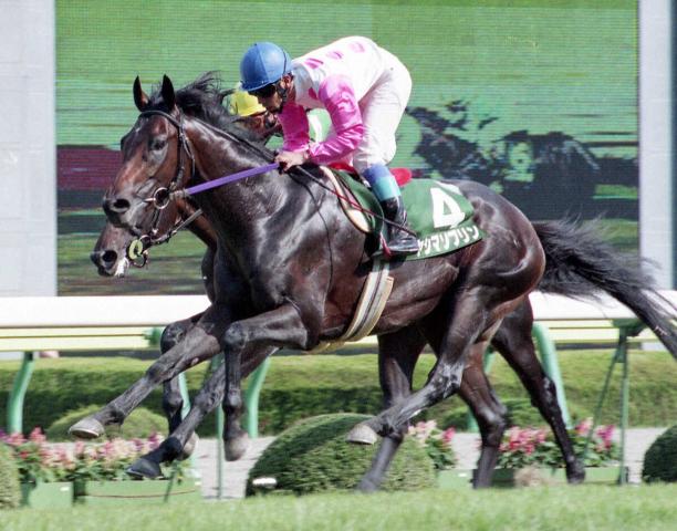 【追憶のラジオNIKKEI賞】94年ヤシマソブリン　ダービー3着馬が不当な?3番人気を覆す快勝劇