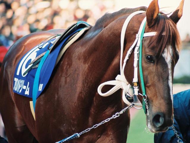 28年前に行われた“6月”の函館記念 アロハドリームの3馬身差V