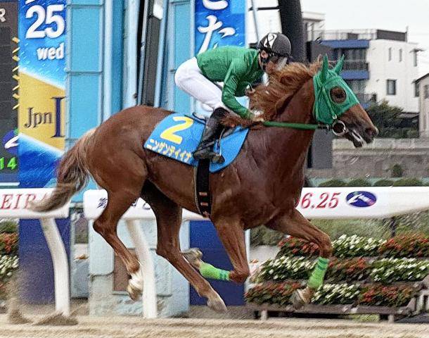 【浦和競馬(24日)】ニンゲンテイイナ新馬V