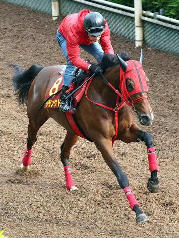 【注目馬動向】ヴィクトリアマイル3着のシランケドは新潟記念へ　安田記念7着のエコロヴァルツは中京記念を視野