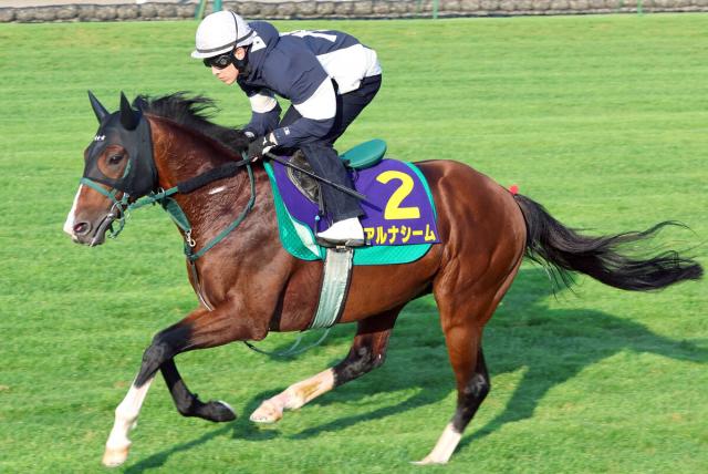 【函館記念】メンバー唯一の重賞馬アルナシームは単走で上々の伸び　藤岡佑介騎手「状態は良さそう」