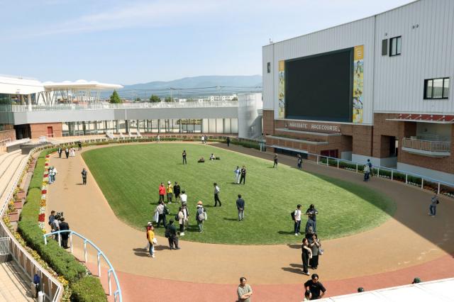 25日の函館競馬場で調教を一般公開　調教後にはパドックを開放して騎手と交流