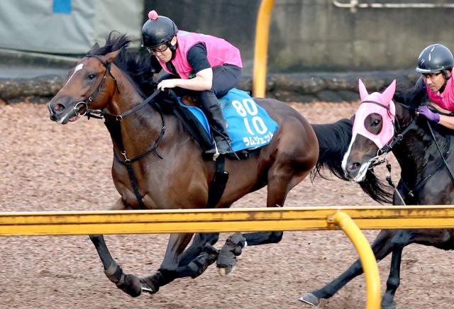 【帝王賞】ラムジェットはCWコースで80秒1の好時計　佐々木調教師「このひと追いで変われば」