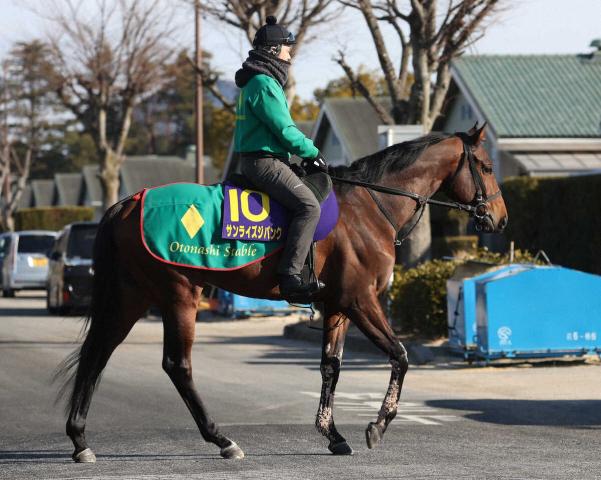 サンライズジパングが帝王賞回避　新谷師が発表　名古屋グランプリ優勝馬