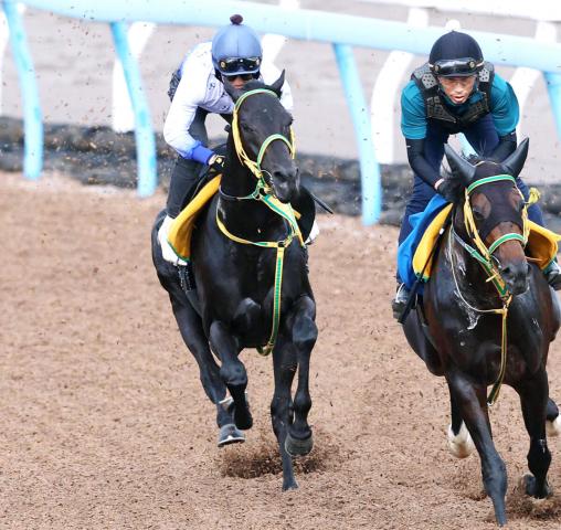 【ラジオNIKKEI賞】フクノブルーレイクに松岡正海騎手が好感触「重賞を勝つにふさわしい馬になってきた」