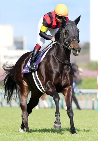 【古馬・注目馬動向】高松宮記念5着のエイシンフェンサーはG1初制覇を狙うスプリンターズSが大目標