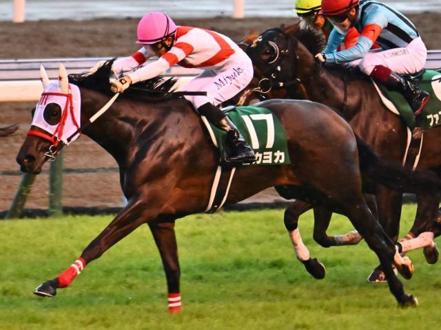 叔母ヨカヨカの九州産馬 ナンテヒダがデビュー勝ちなるか