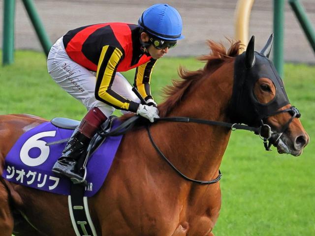 全兄は皐月賞馬のジオグリフ ロスパレドネスがデビューV狙う