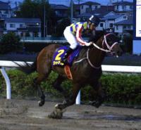 5馬身差をつけて、さきたま杯を逃げ切ったシャマル