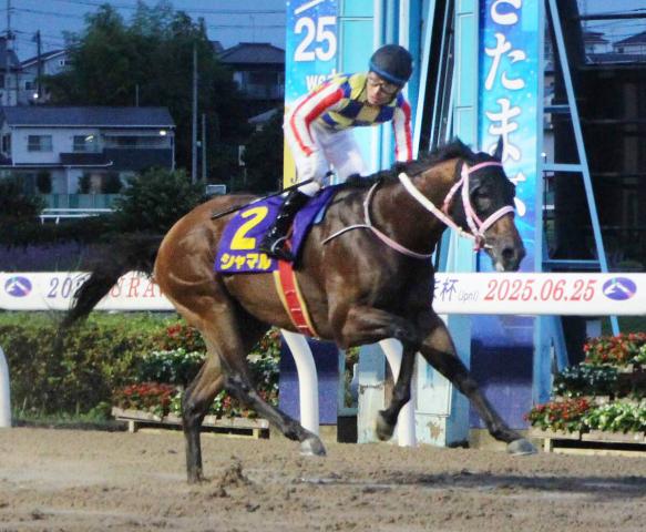 【さきたま杯】「後続馬の足音も聞こえなかった」シャマルが逃げ切ってJpn1連勝　川須栄彦騎手は歓喜