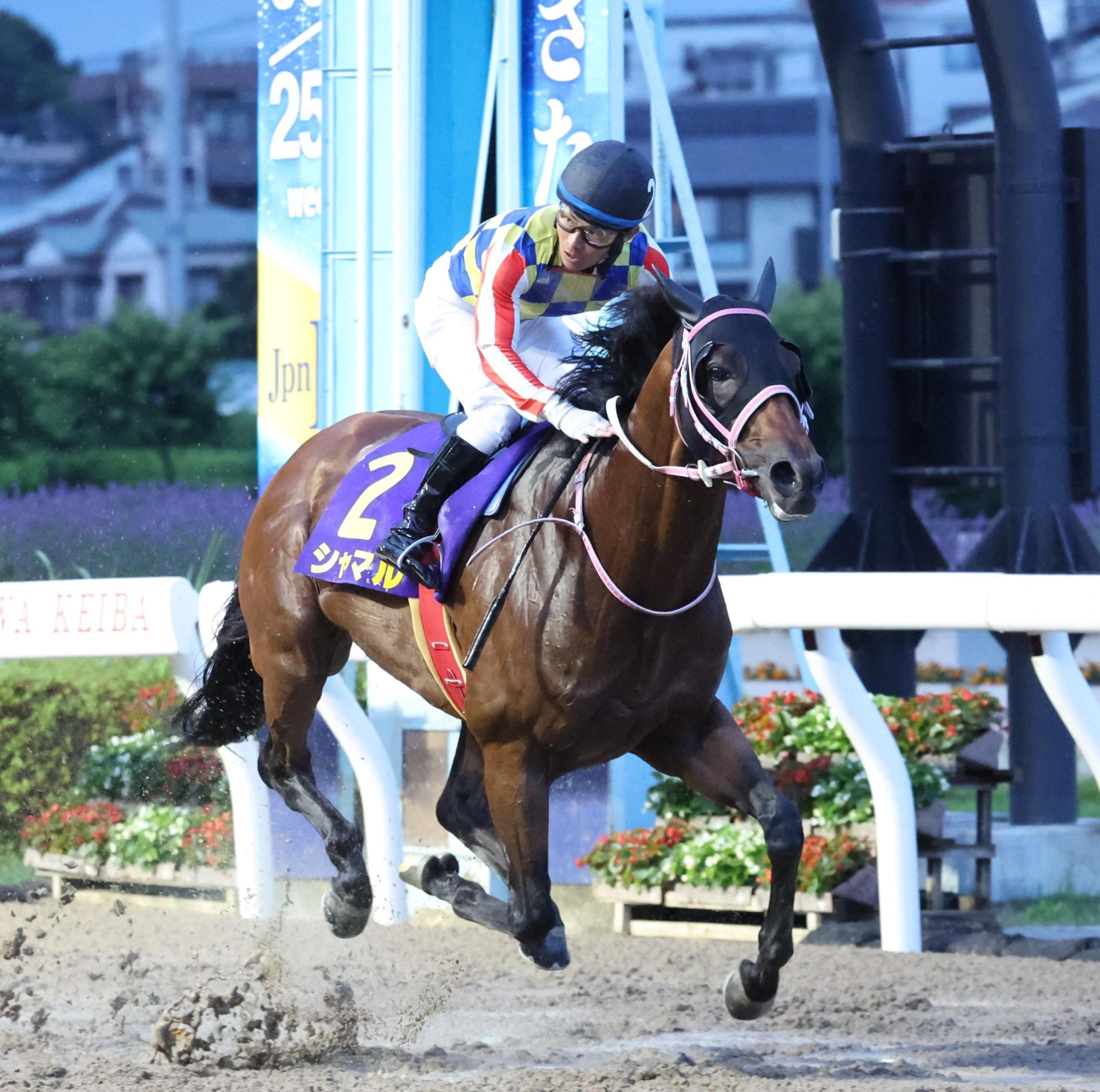 【地方競馬】さきたま杯　シャマルが圧逃でＪｐｎ１連続Ｖ　川須「きょうも素晴らしい走り」