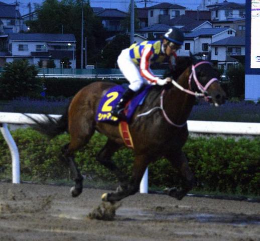 【浦和11R・さきたま杯】売り上げは18億円を突破　浦和競馬1レースあたりの売得金レコード更新