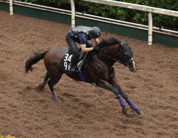 【ラジオNIKKEI賞】バズアップビート　躍動感ある動き　友道師「しまいを生かす競馬が合っている」