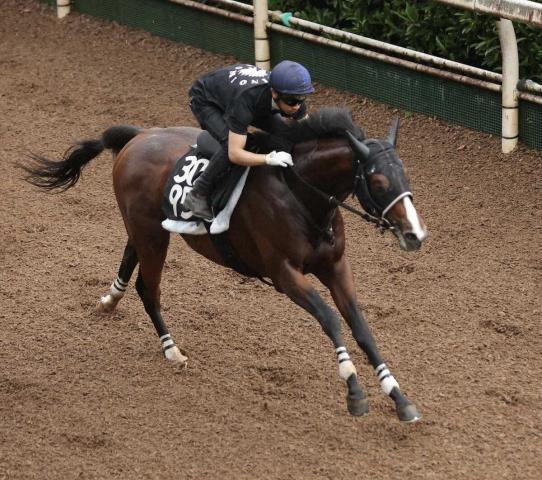 【ラジオNIKKEI賞】エキサイトバイオ　素軽い走り披露　今野師「感触としてはいい」