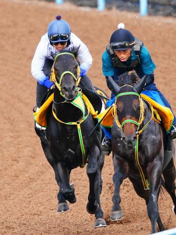 【ラジオNIKKEI賞】フクノブルーレイク納得!ラスト1F11秒4　竹内師「心身とも成長」