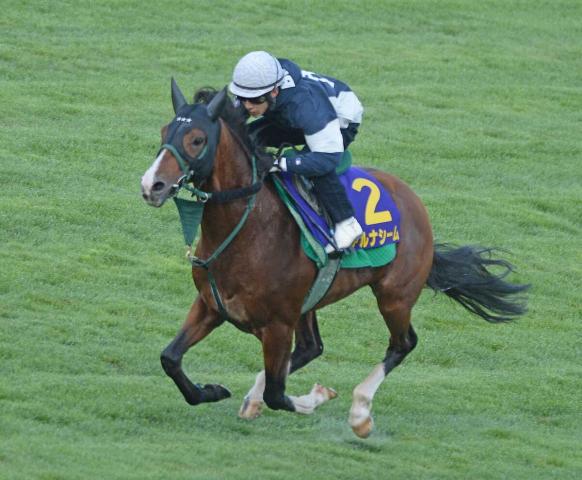 【函館記念】アルナシーム　折り合いついた　藤岡「この馬らしい動きで予定通り」