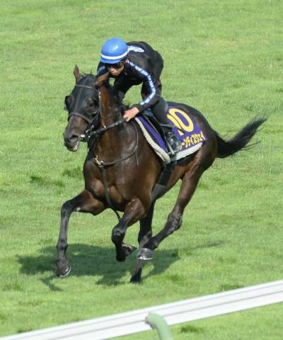 【函館記念】ボーンディスウェイ　好調をアピール　木幡巧「いい感じで競馬に行ける」