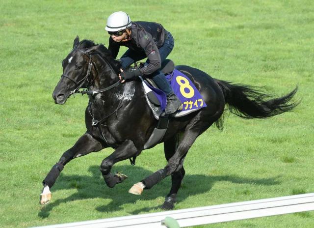 【函館記念】トップナイフ　横山和も手応え「かみ合えばチャンスはある」