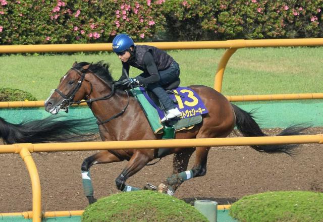 【函館記念】マコトヴェリーキー好感触!遅咲き良血開花の時　2馬身遅れも稽古より実戦型