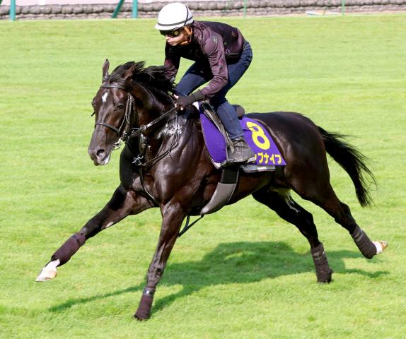 【函館記念】重賞2着4回の実力馬　指揮官「やっと本来の姿を見せられるようになる」手術乗り越え復活へ万全