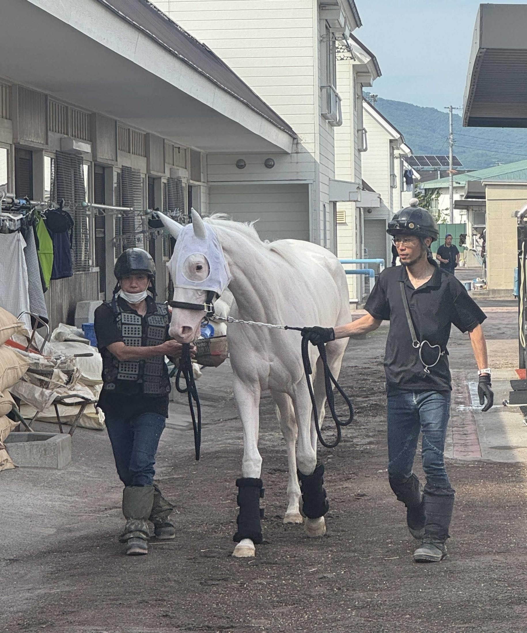 半姉にＧ１・３勝ソダシの白毛馬マルガ　７・１２新馬戦デビューへ函館入厩　北村助手「ソダシの時を思い出させる。全く一緒」