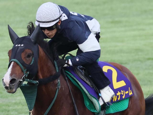 【函館記念】アルナシーム弾んだ！　メンバー唯一の重賞馬が公開調教でファンの前で猛アピール　藤岡佑「この馬らしい動き」