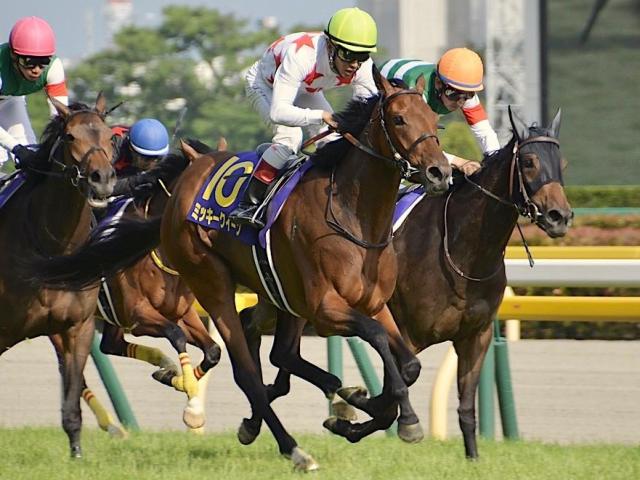 活躍馬続出の名牝系出身 木村哲也厩舎のハイティーが初陣Vなるか