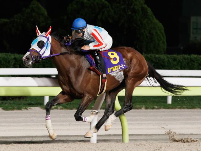【地方競馬】ダート三冠2年目で三冠馬の期待　地方に移籍しての好走馬にも注目