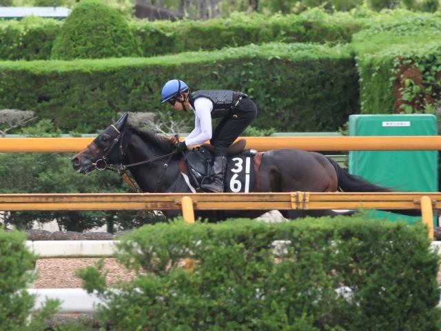クラスペディア、北九州記念1週前追い切り速報/栗東トレセンニュース