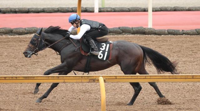 【北九州記念1週前】クラスペディアがCWコース一番時計　小崎綾也騎手「かなり行きっぷりも良かった」