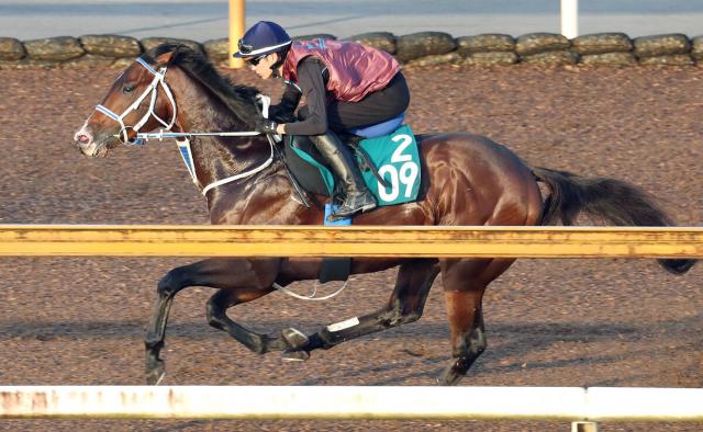 【POG】29日小倉デビューのゼロヴィジビリティが仕上がり絶好　寺島調教師「能力は高そう」