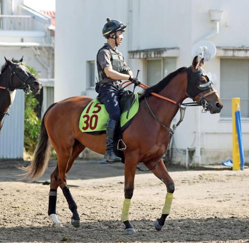 【POG】新馬戦3着のベルバードが今度こそ初勝利へ好気配　武井調教師「落ち着きが出ている」