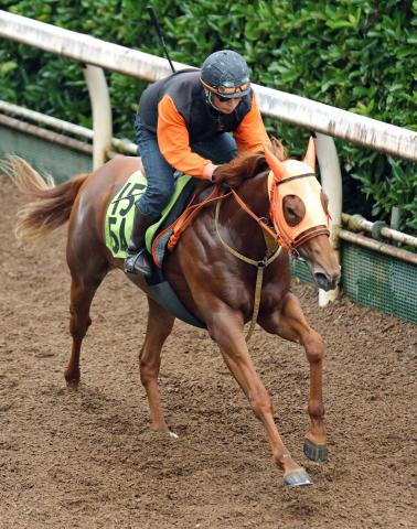 【POG】母は重賞2勝　スターアニスが29日小倉6Rで初陣　松山弘平騎手「力強い走り」