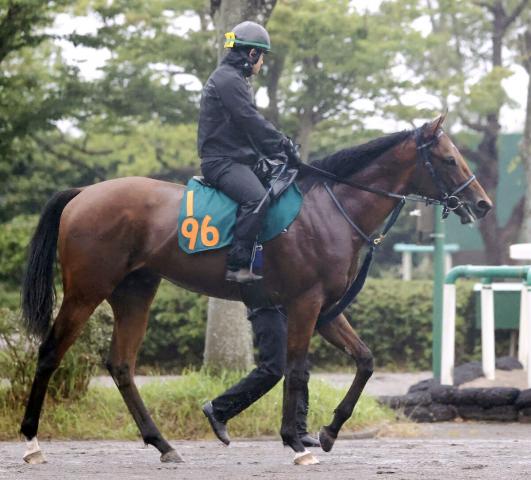 【POG】血統馬ポルフュロゲネトスは7・20福島デビューへ追い切り　叔母にG1・4勝のラッキーライラック