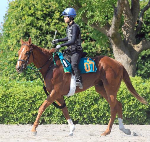 【POG】6・28福島6Rデビューのセイカミナミホリエは仕上がり抜群　相沢調教師「走ります」