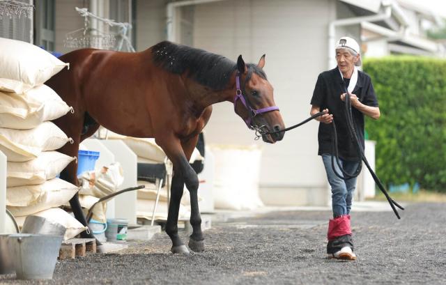 馬名はナンテヒダ!　バイきんぐ小峠が結婚発表直後の今週デビュー　担当はあのアイドルホースを手がけた名厩務員