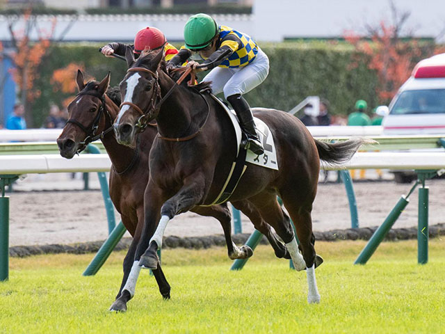 【青島特別】1戦1勝の良血スター 1年7カ月ぶりの復帰戦だ