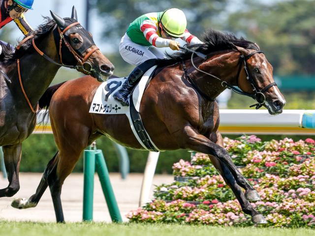【函館記念出走馬・騎手確定】マコトヴェリーキー＆北村友一騎手、ハヤテノフクノスケ＆横山武史騎手など14頭